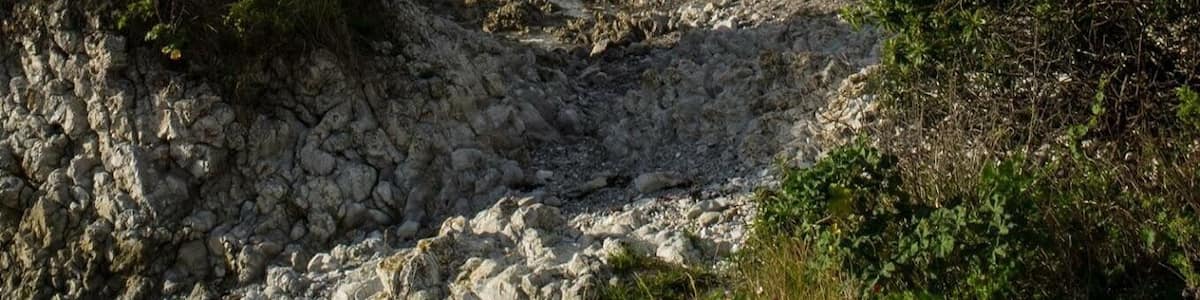 It's a cloudy day in kaikoura ☀️