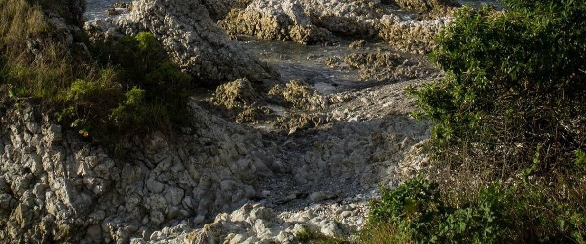 It's a cloudy day in kaikoura ☀️