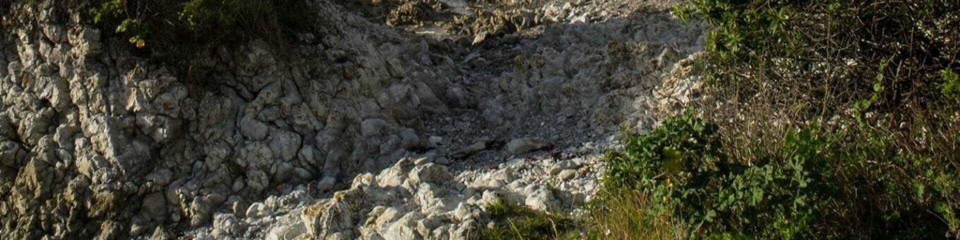 It's a cloudy day in kaikoura ☀️