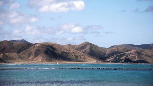 View from Ngapotiki Hut, Cape Palliser, New Zealand.