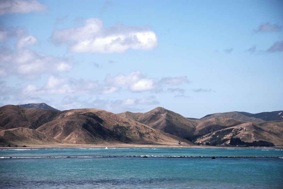 View from Ngapotiki Hut, Cape  Palliser, New Zealand.