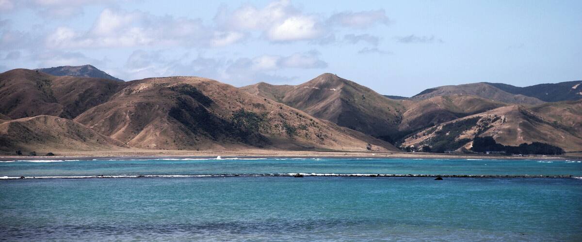 A coastal landscape with rolling hills and a calm sea.