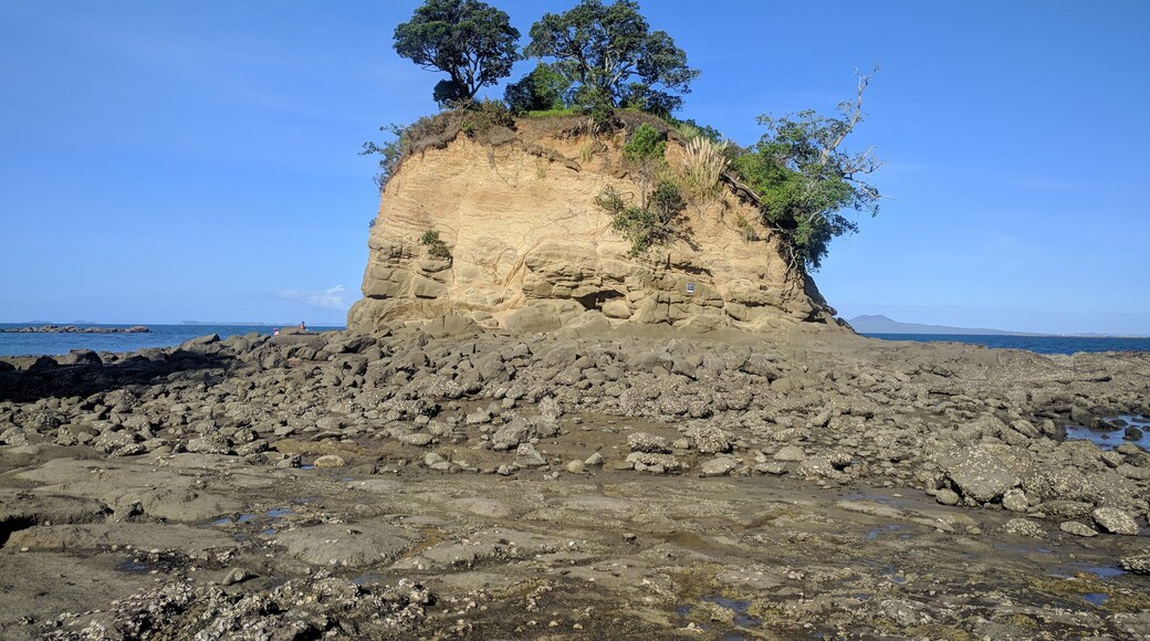 East Coast Bays
