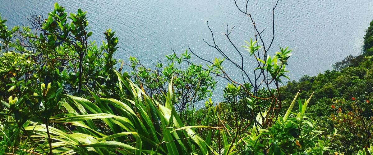 Views from the Lost Road... one of the many stunning views