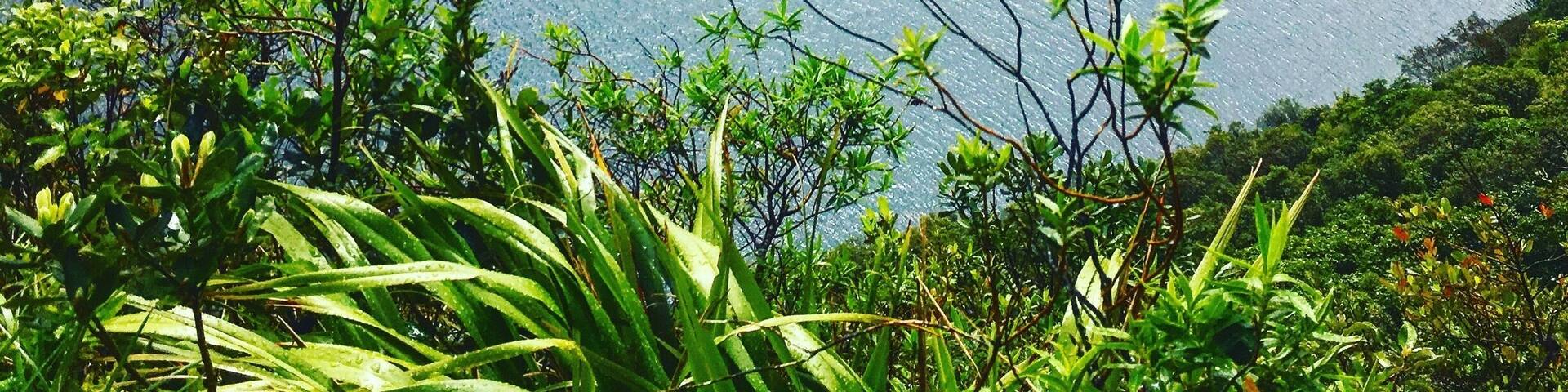 Views from the Lost Road... one of the many stunning views