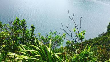 Urewera National Park