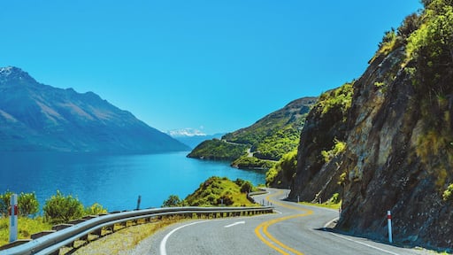 Something I enjoyed a lot in New Zealand was stopping on the side of the road. Views like this are unforgettable. This picture will always remind me of the curvy roads mixed with unmatched scenery! #BvSApplication