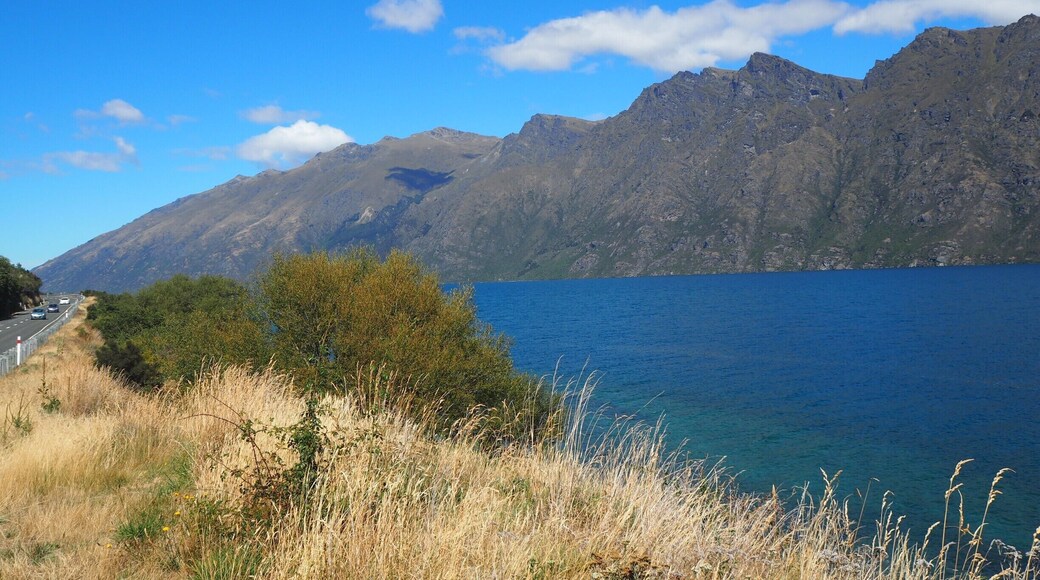 A few km out of Queenstown, approaching the small town of Kingston, beside the arm of Lake Wakatipu