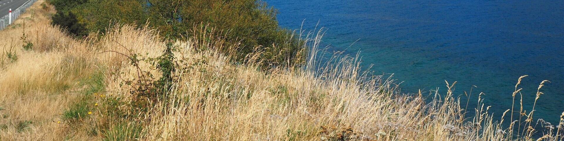 A few km out of Queenstown, approaching the small town of Kingston, beside the arm of Lake Wakatipu