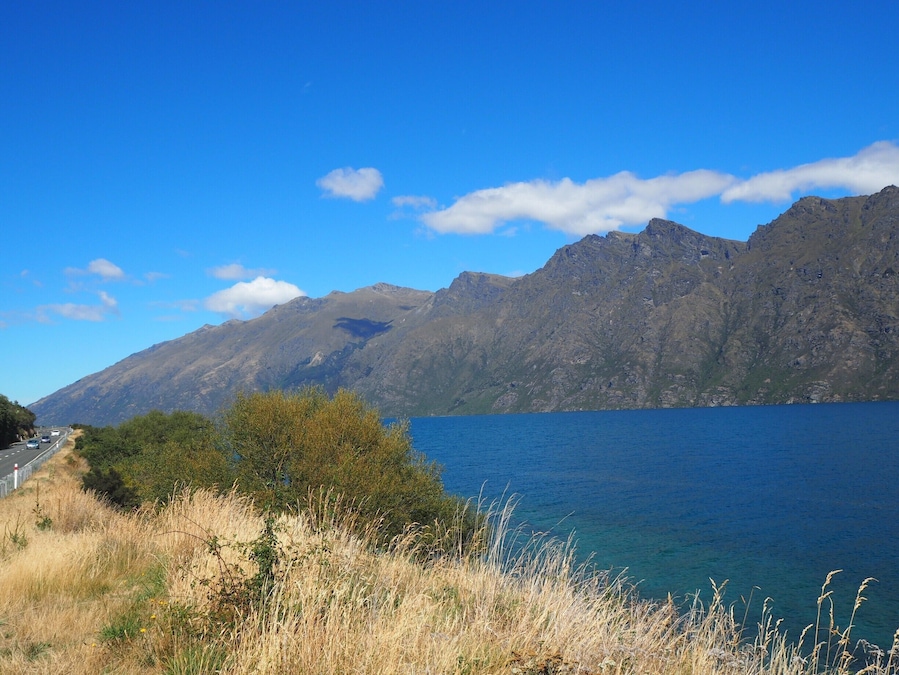 A few km out of Queenstown, approaching the small town of Kingston, beside the arm of Lake Wakatipu