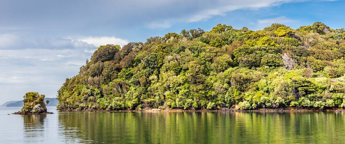A calm lake with a forested island and a clear sky.
