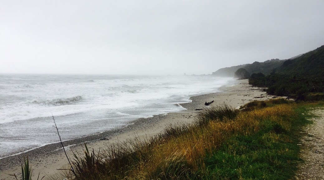 #newzealand #foxriver 🍂🍂🌧