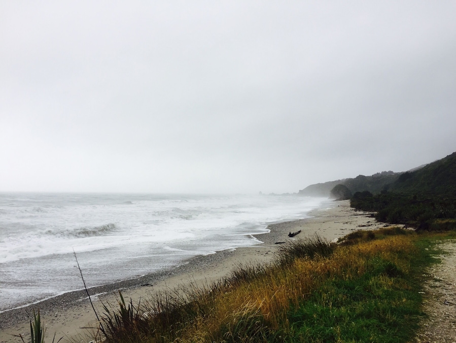 #newzealand #foxriver 🍂🍂🌧