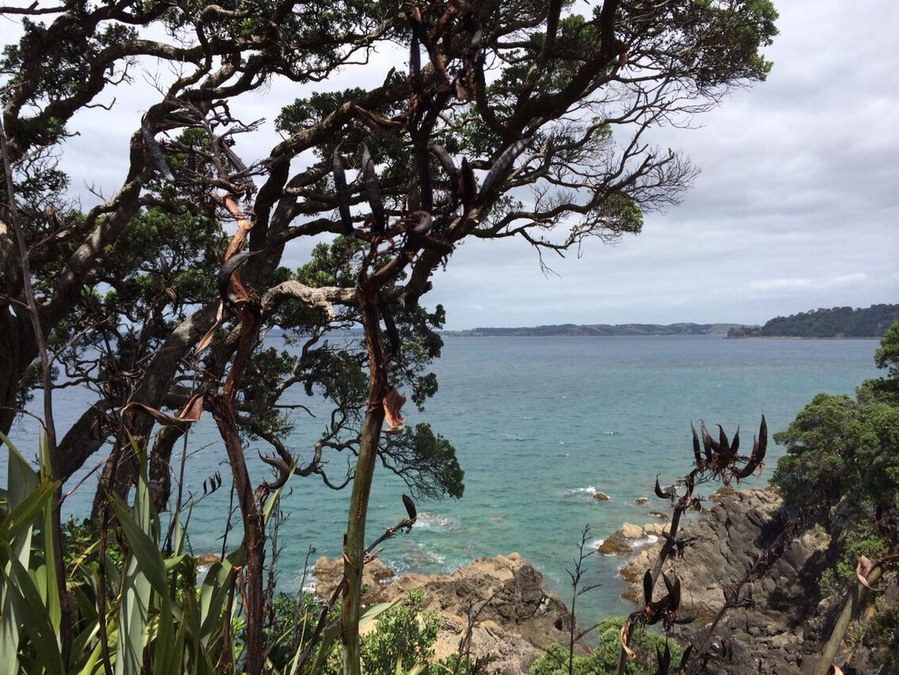 Rugged coast as Leigh