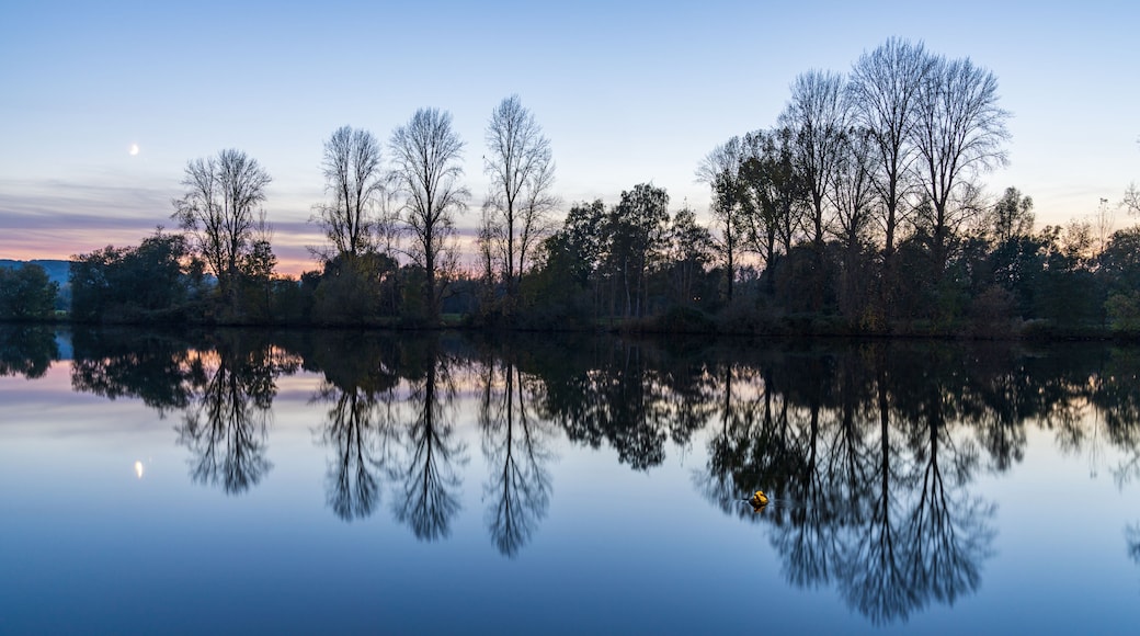 Un lac paisible où se reflètent les arbres et où le ciel est dégagé.