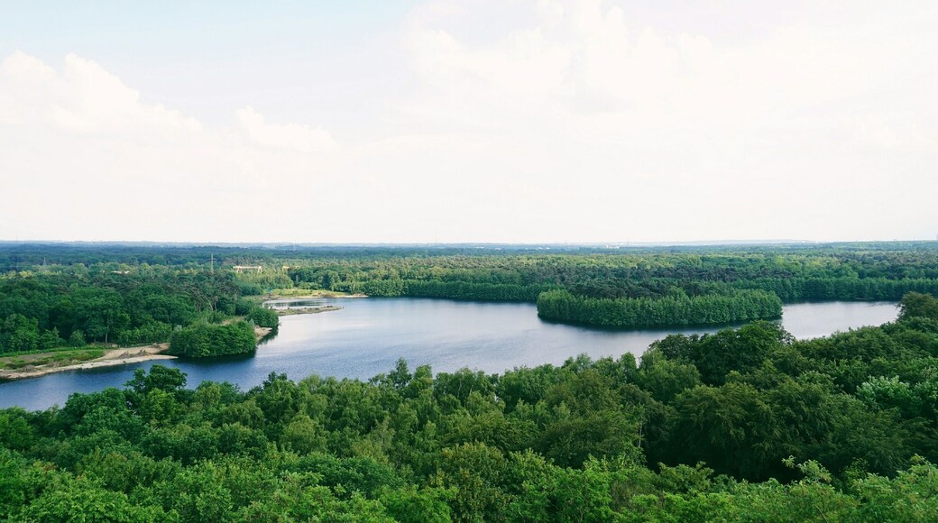 Aussichtsturm Wofsberg is an observation deck located in the middle of Sechs-Seen-Platte, which apparently is the highest point in Duisburg at 65 meters above sea level. It gives you a fantastic view of the lakes and woodlands and on clear days you can see all the way to Dusseldorf.
Perfect spot for a walk or a picnic, or even sailing and taking a dip in the lake. All around a great place to relax surrounded by nature.
#green