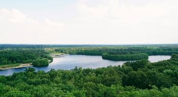 Aussichtsturm Wofsberg is an observation deck located in the middle of Sechs-Seen-Platte, which apparently is the highest point in Duisburg at 65 meters above sea level. It gives you a fantastic view of the lakes and woodlands and on clear days you can see all the way to Dusseldorf.
Perfect spot for a walk or a picnic, or even sailing and taking a dip in the lake. All around a great place to relax surrounded by nature.
#green