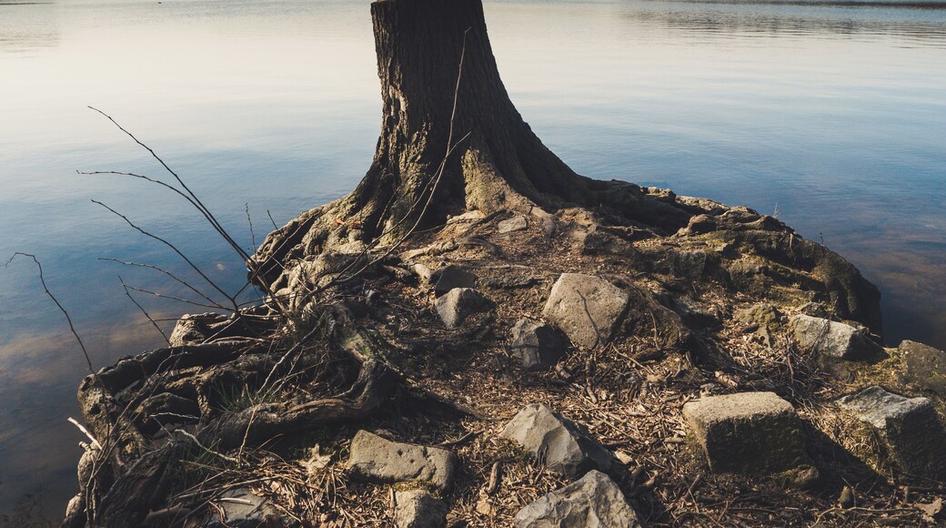 At the six lake plateau in Duisburg.
