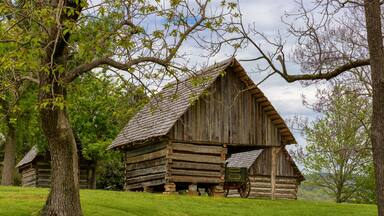 Lincoln Memorial University in Harrogate, Tennessee