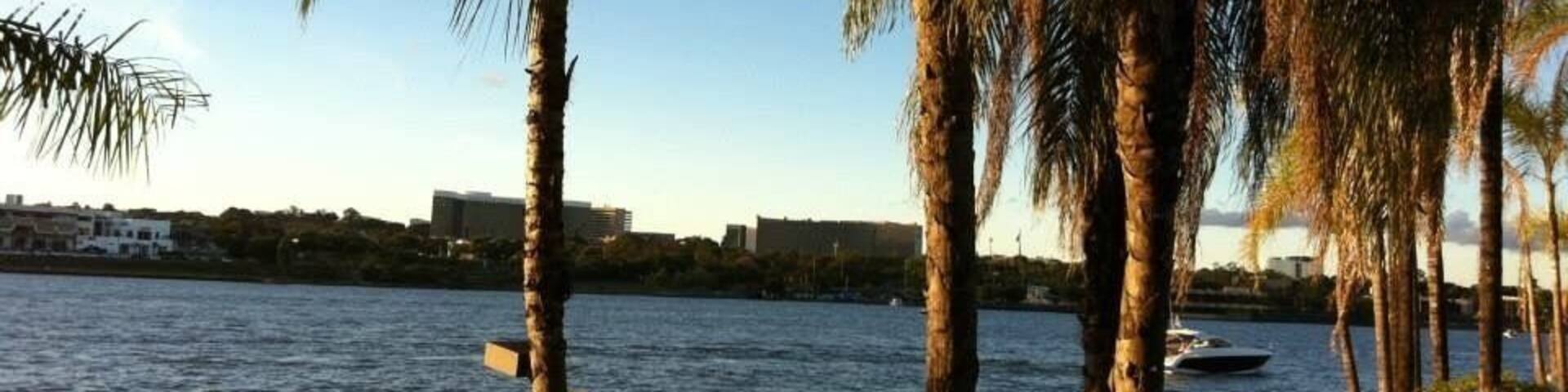 A waterfront with palm trees and a boat on the water.