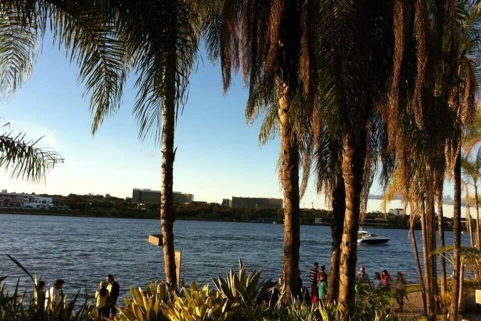A waterfront with palm trees and a boat on the water.