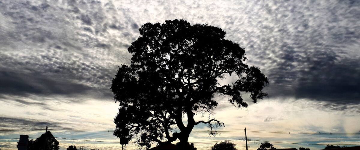 Dawning in Brasília, DC