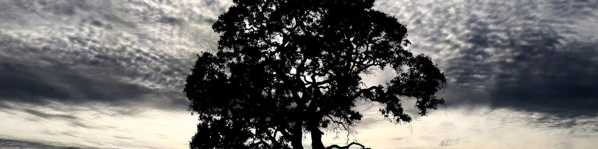 Dawning in Brasília, DC