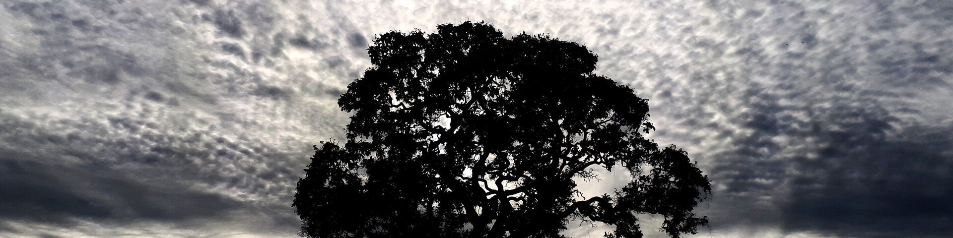 Dawning in Brasília, DC