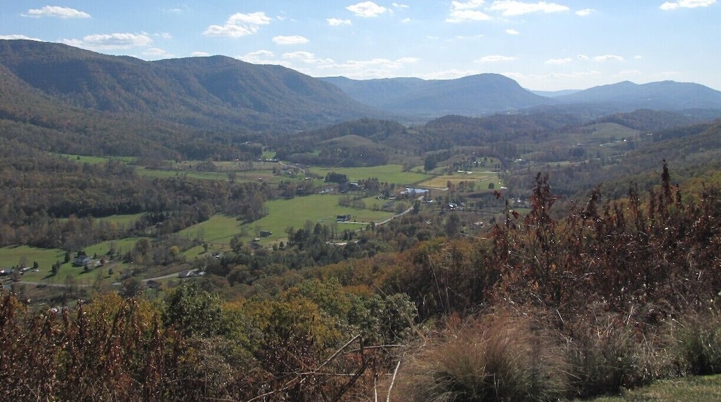 Powell Valley Overlook - Going into Autumn.