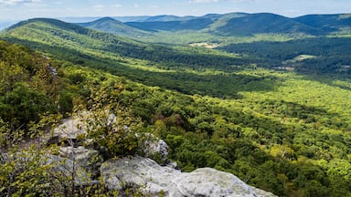The beautiful wilderness with wooded mountains with rocks in the foreground as seen from Big Schloss via Wolf Gap Trail on the border between West Virginia and Virginia.