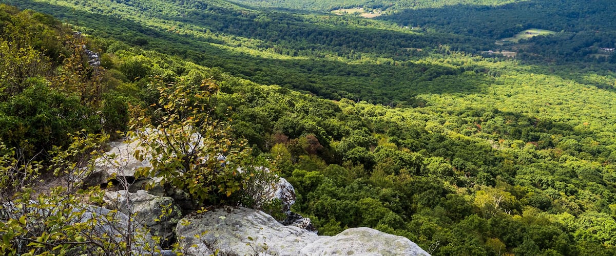 A mountainous landscape with dense forests and a clear sky.