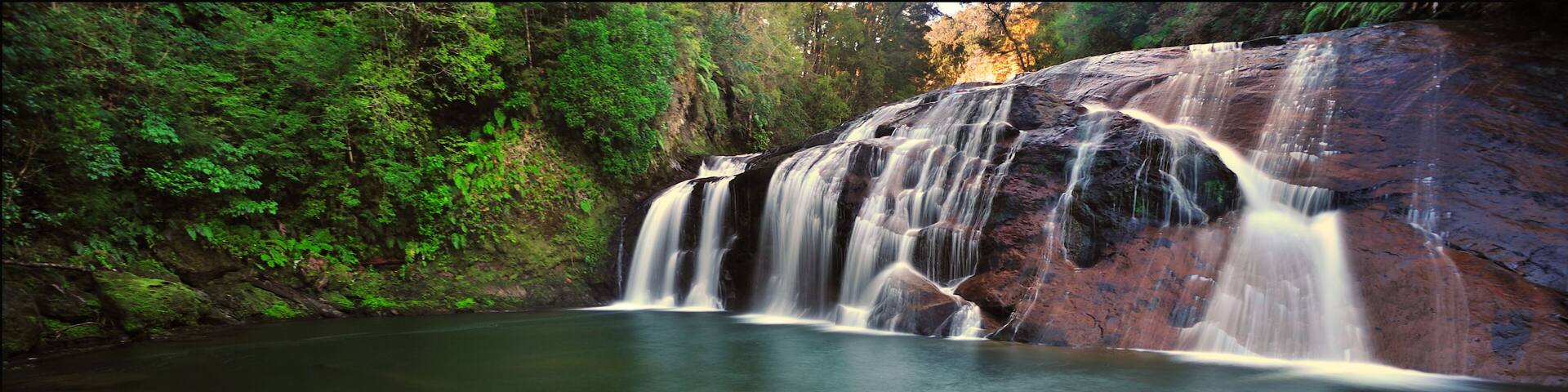 Coal Creek Falls, West Coast New Zealand