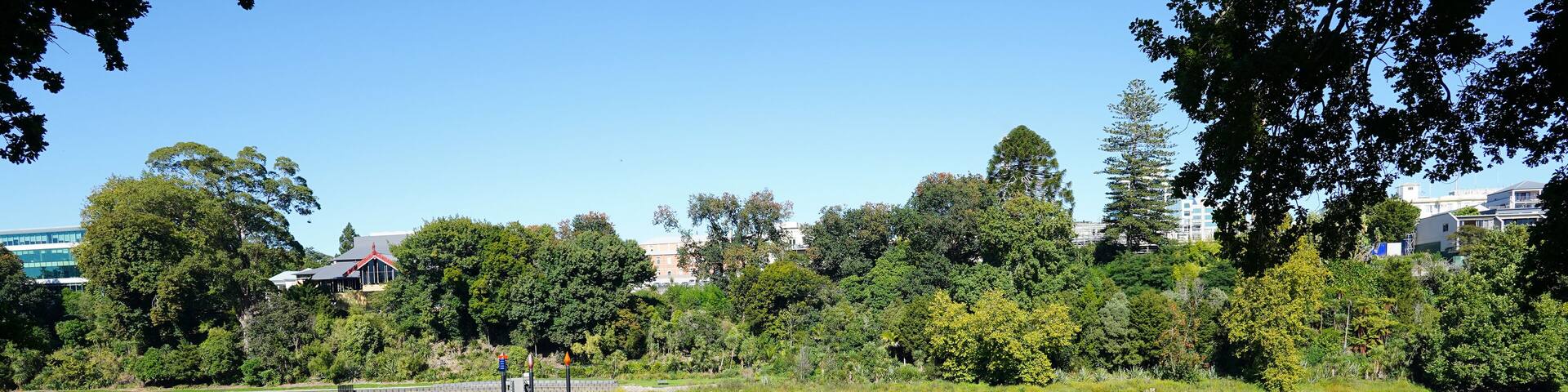 The Waikato River flowing through central Hamilton