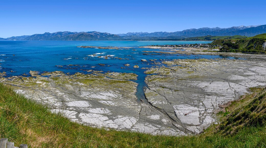 ไคคูรา ฟลัต