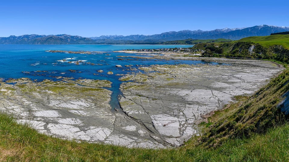 Walking around Kaikoura Peninsula, New Zealand on a beautiful Spring day.
