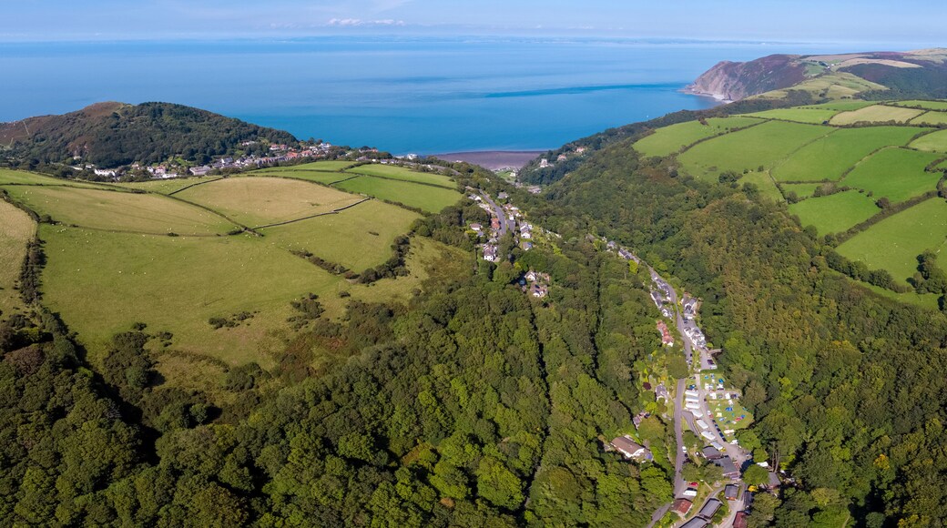 Wooded valley on the north Devon coast, Lynton, Exmoor, Devon