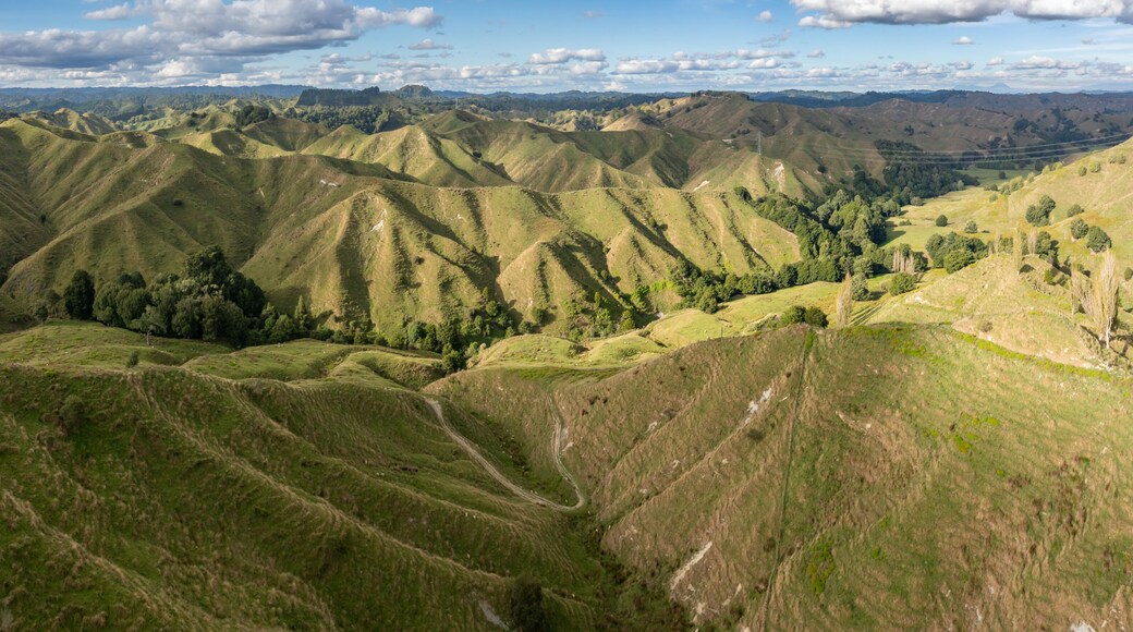 Rolling green hills and valleys on the World Forgotten Highway, Tahora Saddle, Manawatu–Whanganui, New Zealand, showcasing the pastoral landscape under a partly cloudy sky.