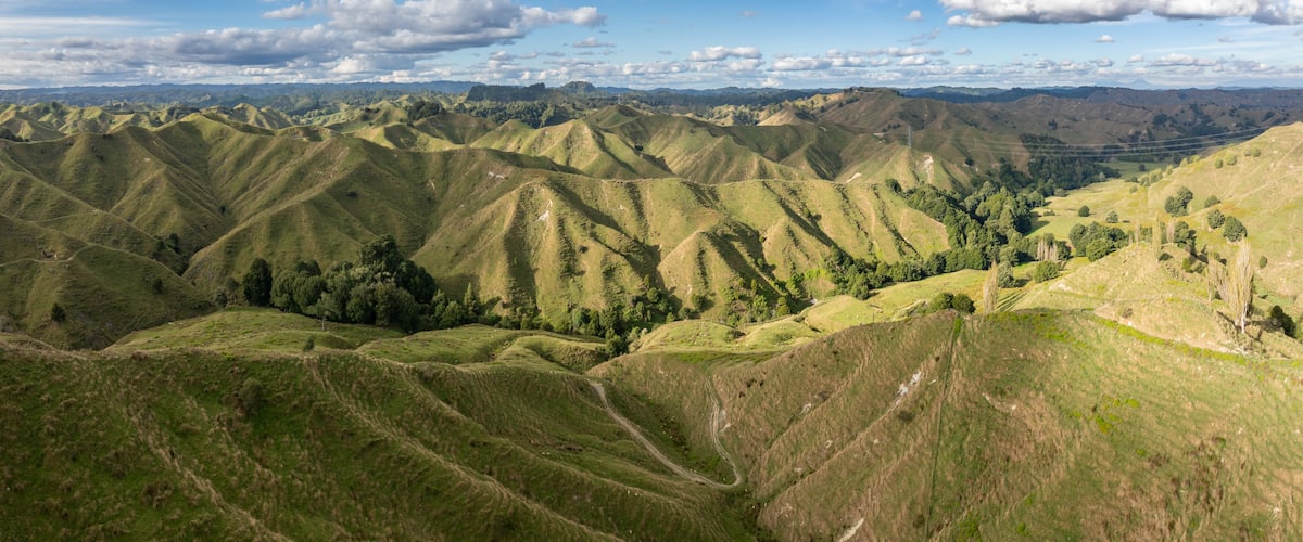 Rolling green hills and valleys on the World Forgotten Highway, Tahora Saddle, Manawatu–Whanganui, New Zealand, showcasing the pastoral landscape under a partly cloudy sky.