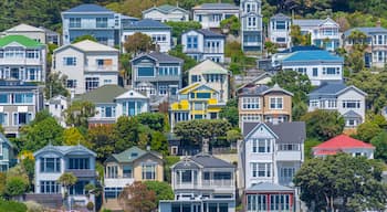 Traditional residential houses at Mount Victoria in Wellington, New Zealand