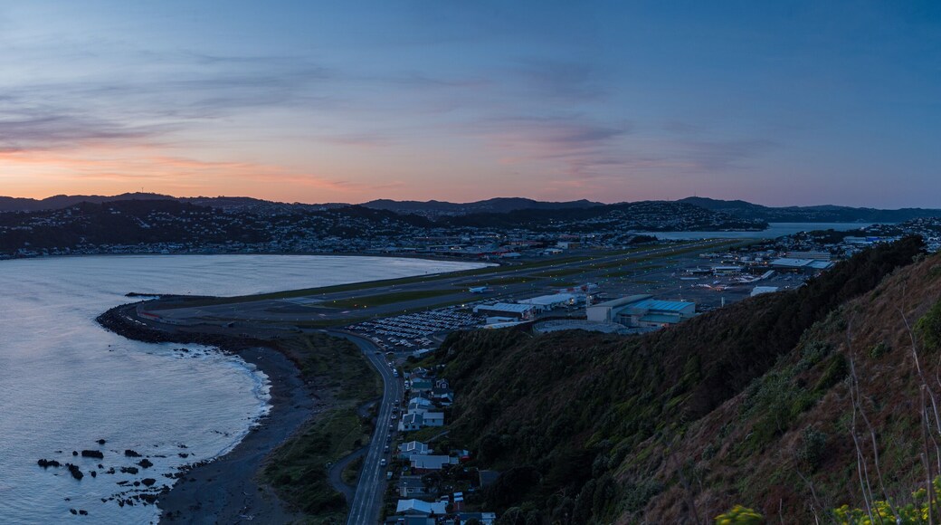 ๋กฑ๊ณ ํ์ด