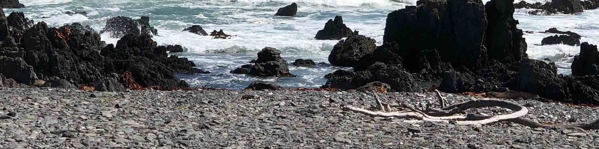 A 1 1/2 hour drive from Wellington, New Zealand