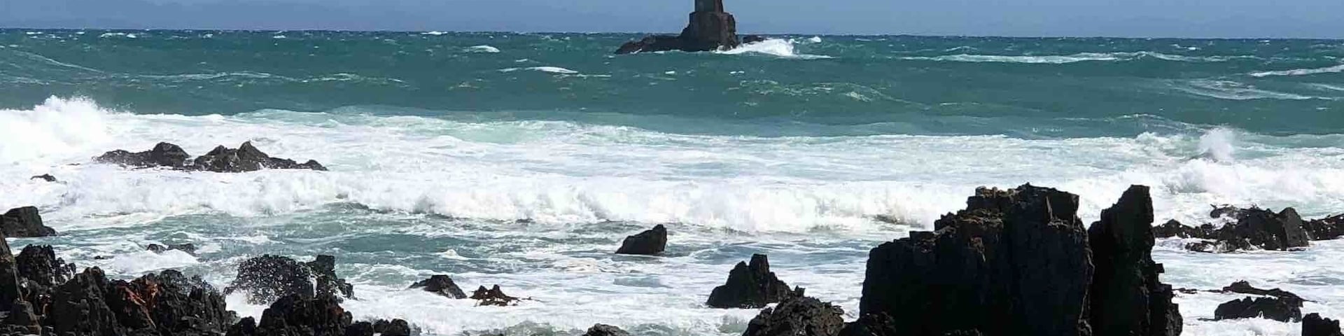 A 1 1/2 hour drive from Wellington, New Zealand