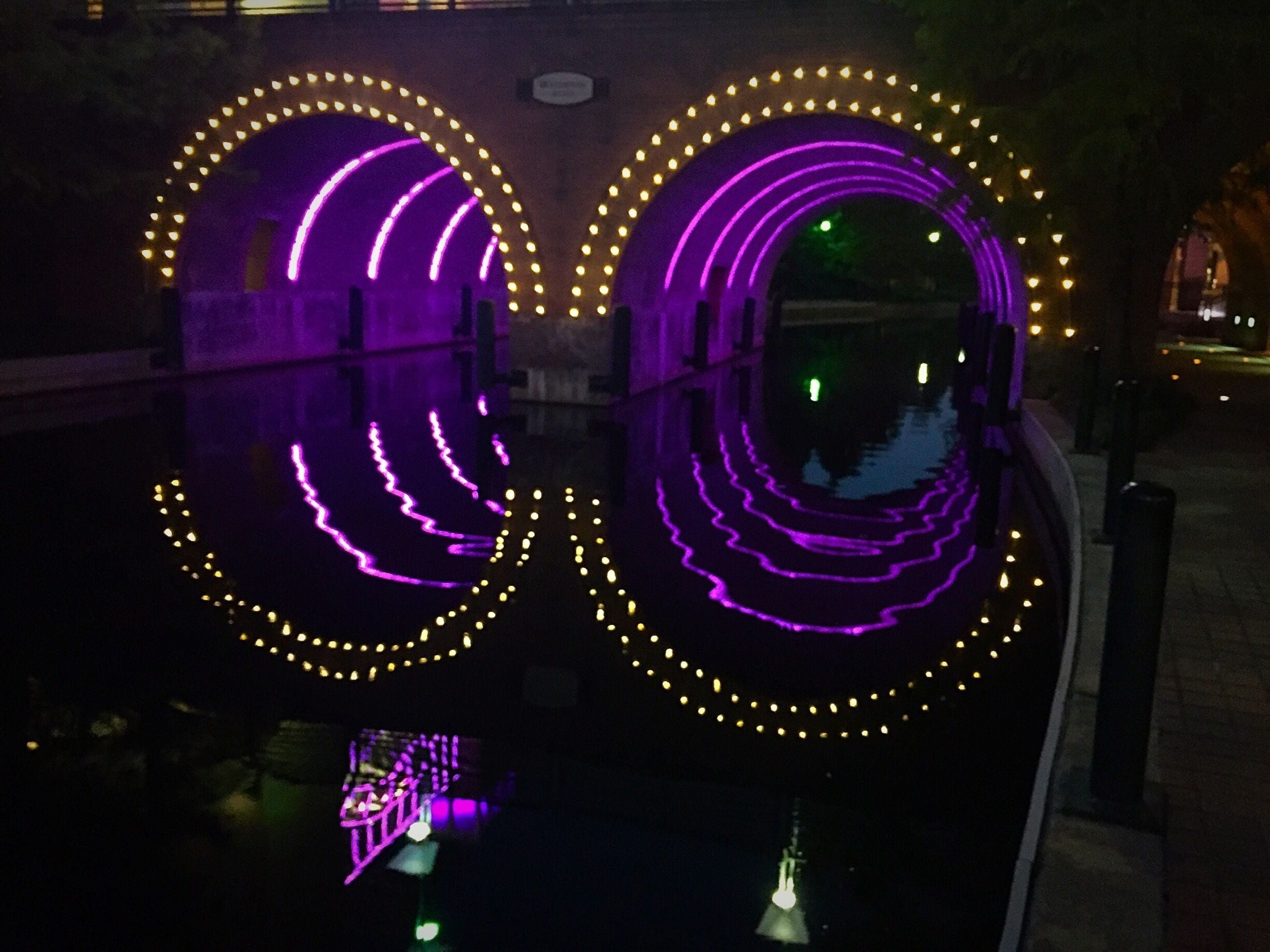 Morning run sighting 