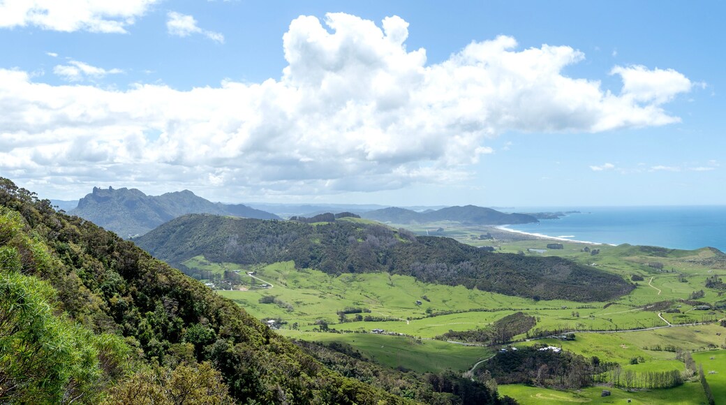 Whangarei Heads: Busby Head Track Trail with View on Mount Manaia, Coastal Cliffs, and Volcanic Landscapes of Northland, New Zealand