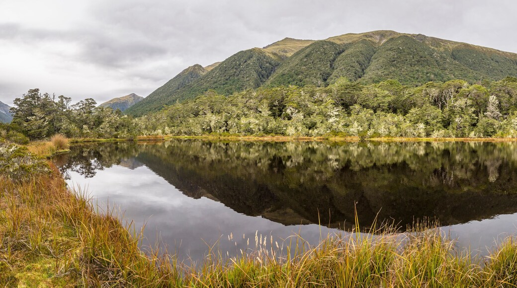 New Zealand, South Island, Westcoast Region, at Lewis Pass