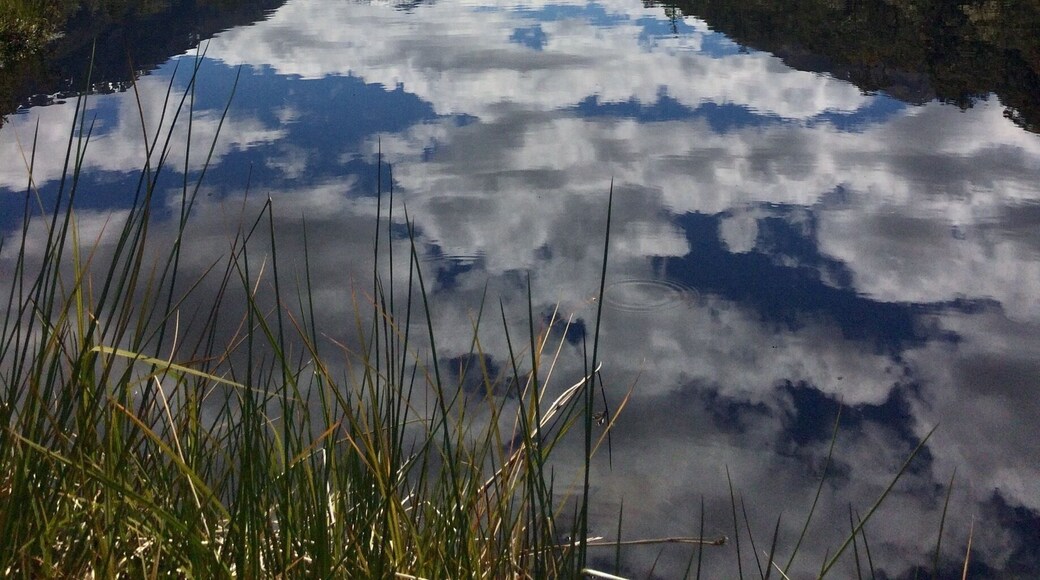 Lovely little walk and stunning views on my South Island road trip ❤️
#reflections #Mountains