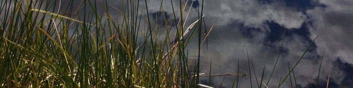 Lovely little walk and stunning views on my South Island road trip ❤️
#reflections #Mountains