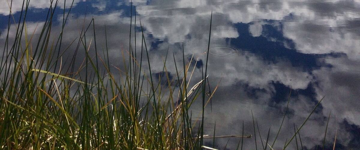 Lovely little walk and stunning views on my South Island road trip ❤️
#reflections #Mountains