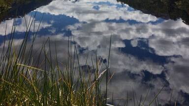 Lewis Pass