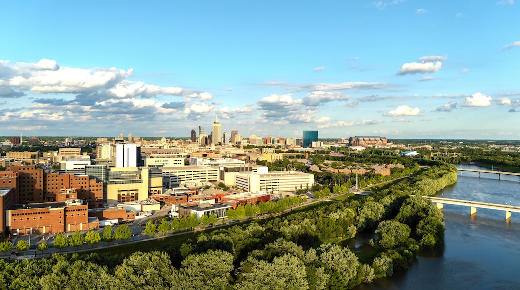 Un paisaje urbano con una zona céntrica destacada, un río y un puente.